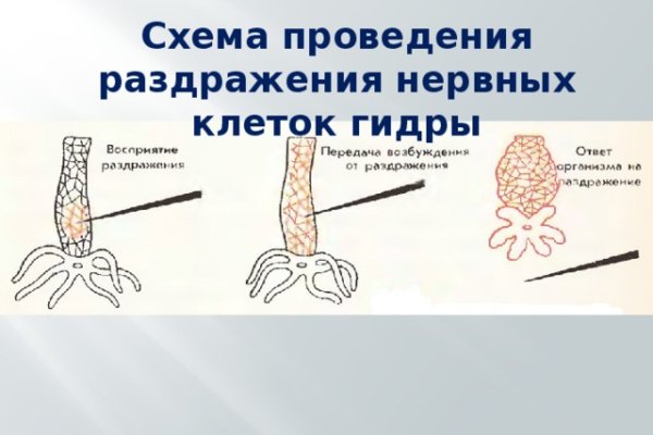 Кракен зеркало рабочее на сегодня
