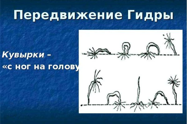Kraken домен